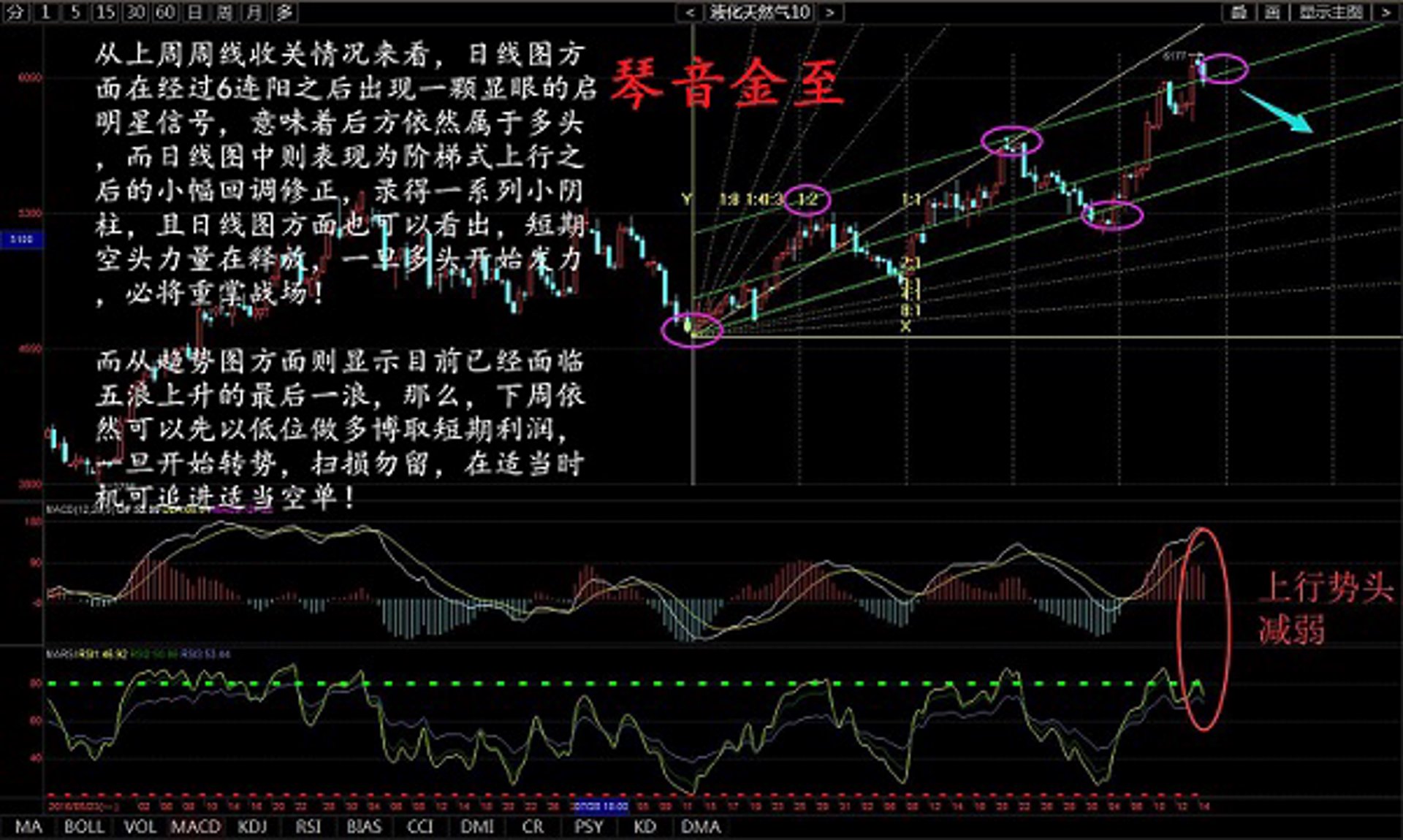 金聚达沥青